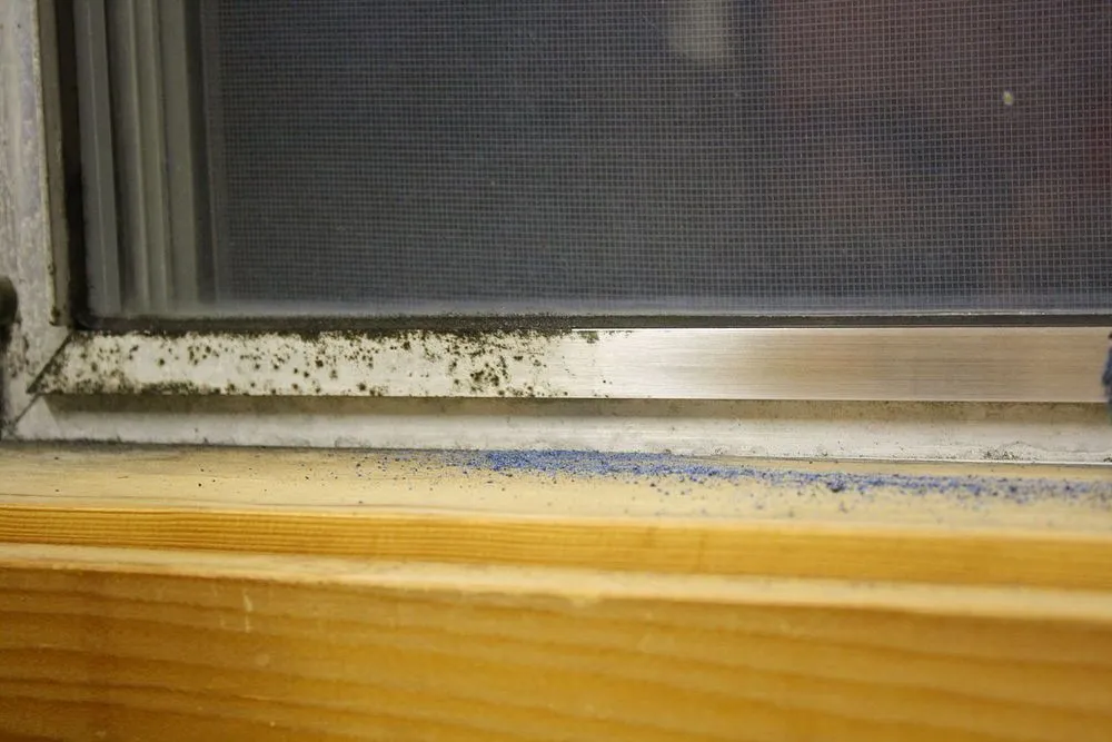 Cleaning window frame with blue cloth aluminum window